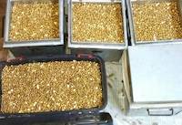 Fake gold nuggets in metal boxes